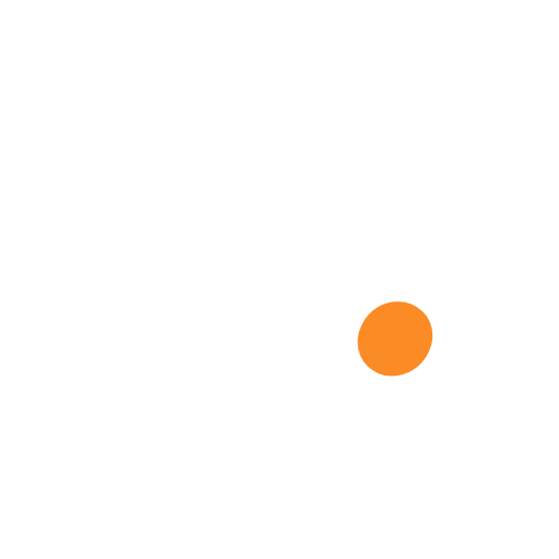 Diseño y Estampado de Poleras