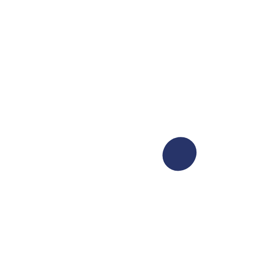 Diseño y Estampado de Poleras